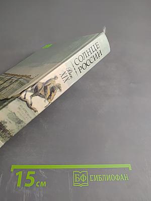 Солнце России. Русские писатели о Пушкине. Век XIX