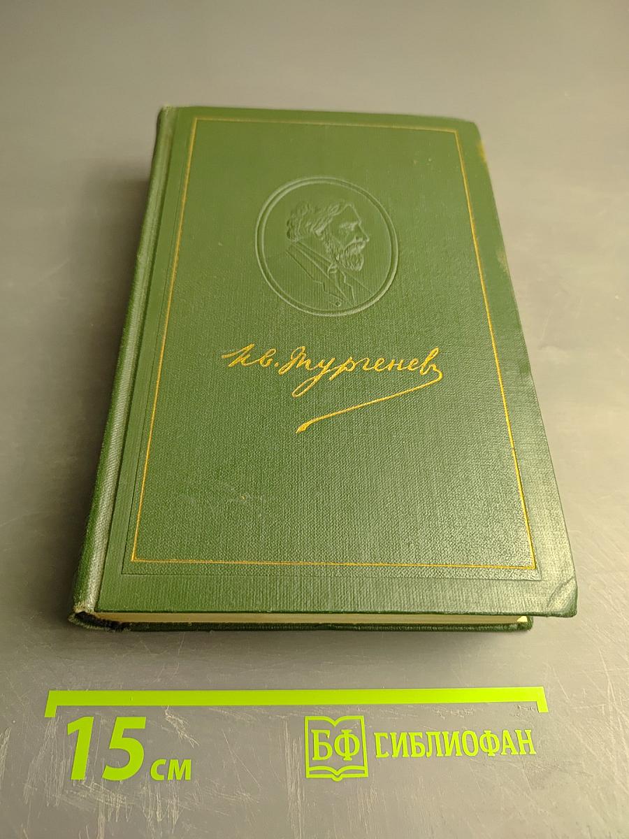 Собрание сочинений. Том двенадцатый. Письма 1831-1853