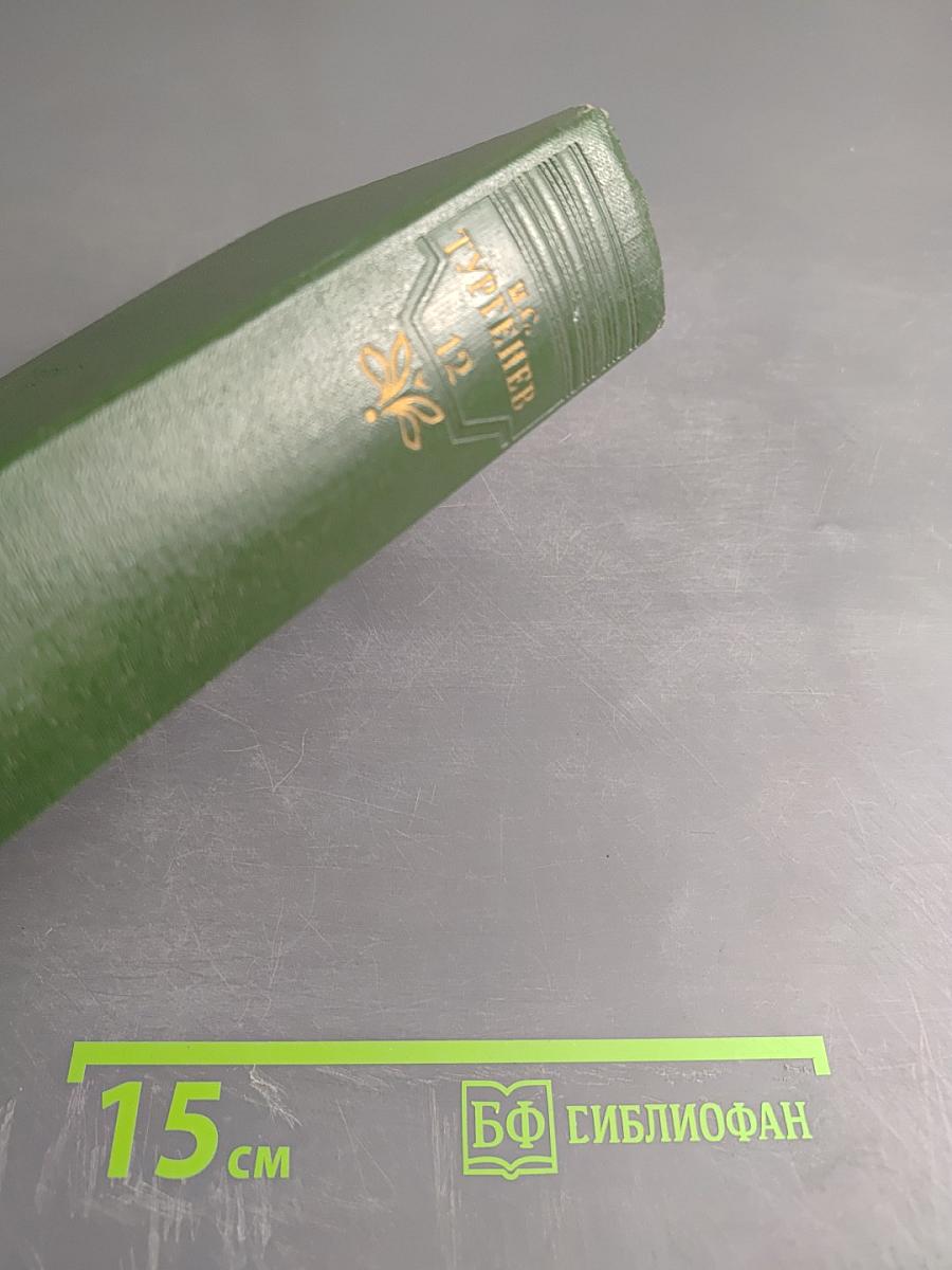 Собрание сочинений. Том двенадцатый. Письма 1831-1853