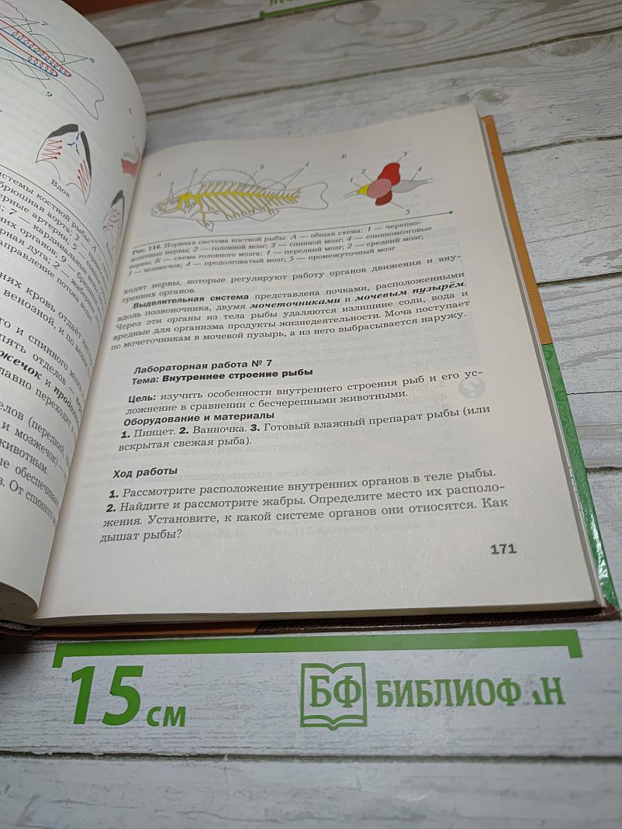 Биология 8 класс