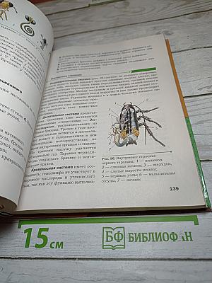 Биология 8 класс