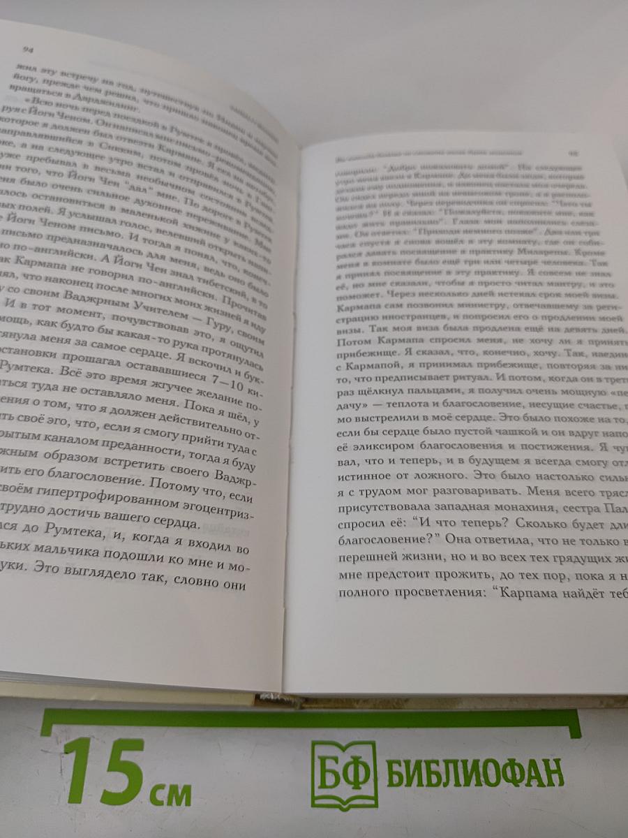 Танец 17 жизней