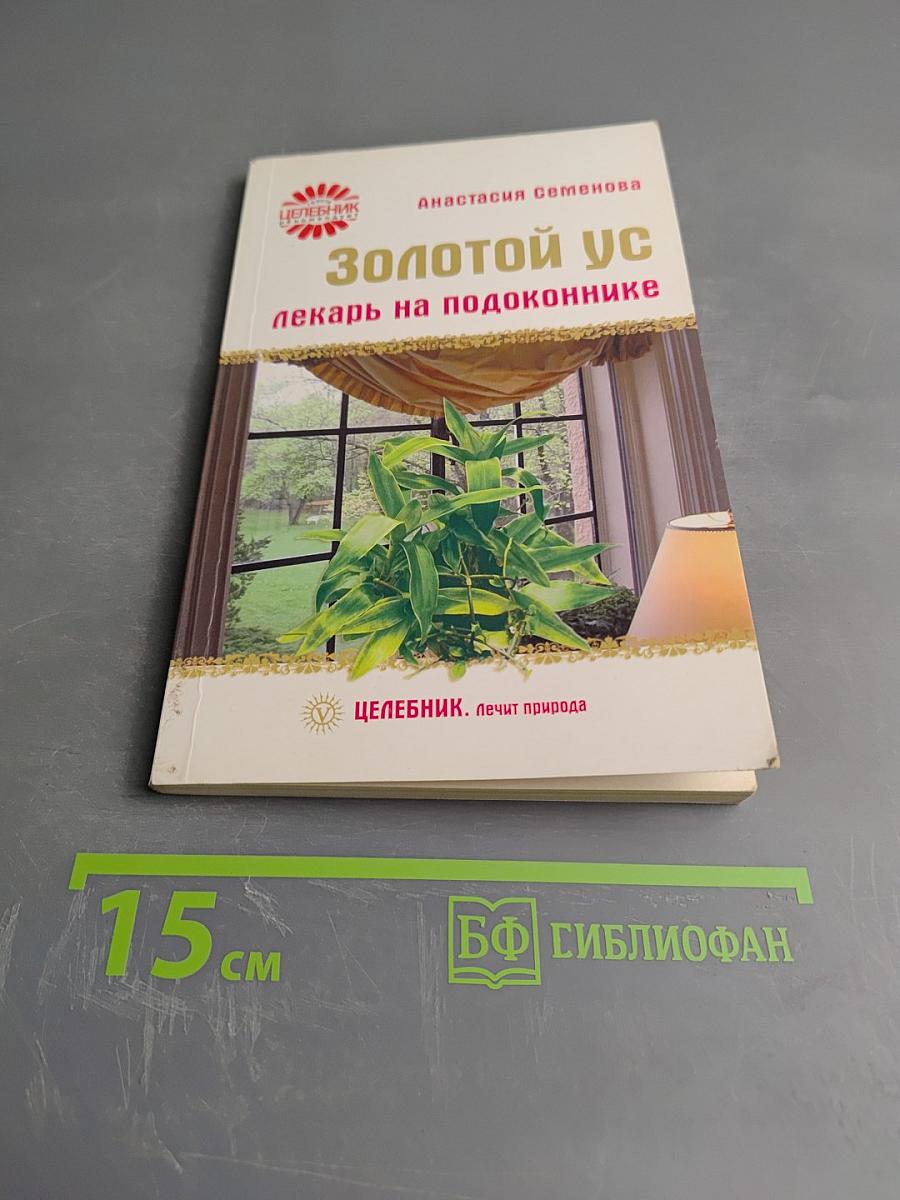 Золотой ус - лекарь на подоконнике