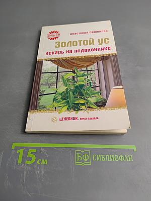 Золотой ус - лекарь на подоконнике