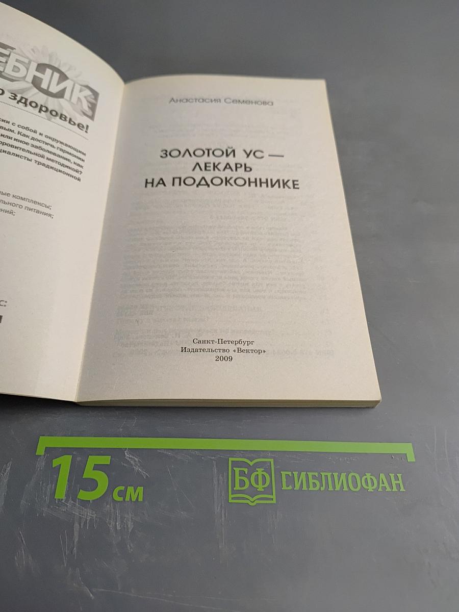 Золотой ус - лекарь на подоконнике