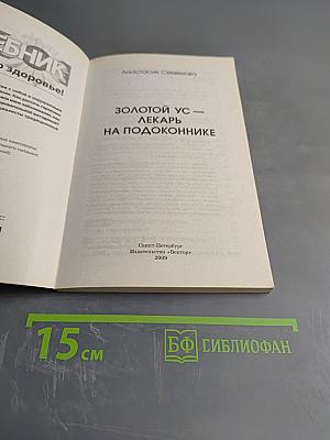 Золотой ус - лекарь на подоконнике
