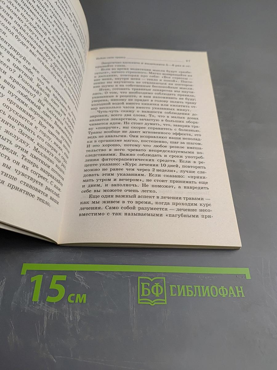 Золотой ус - лекарь на подоконнике