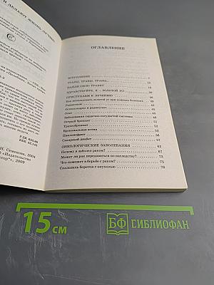 Золотой ус - лекарь на подоконнике