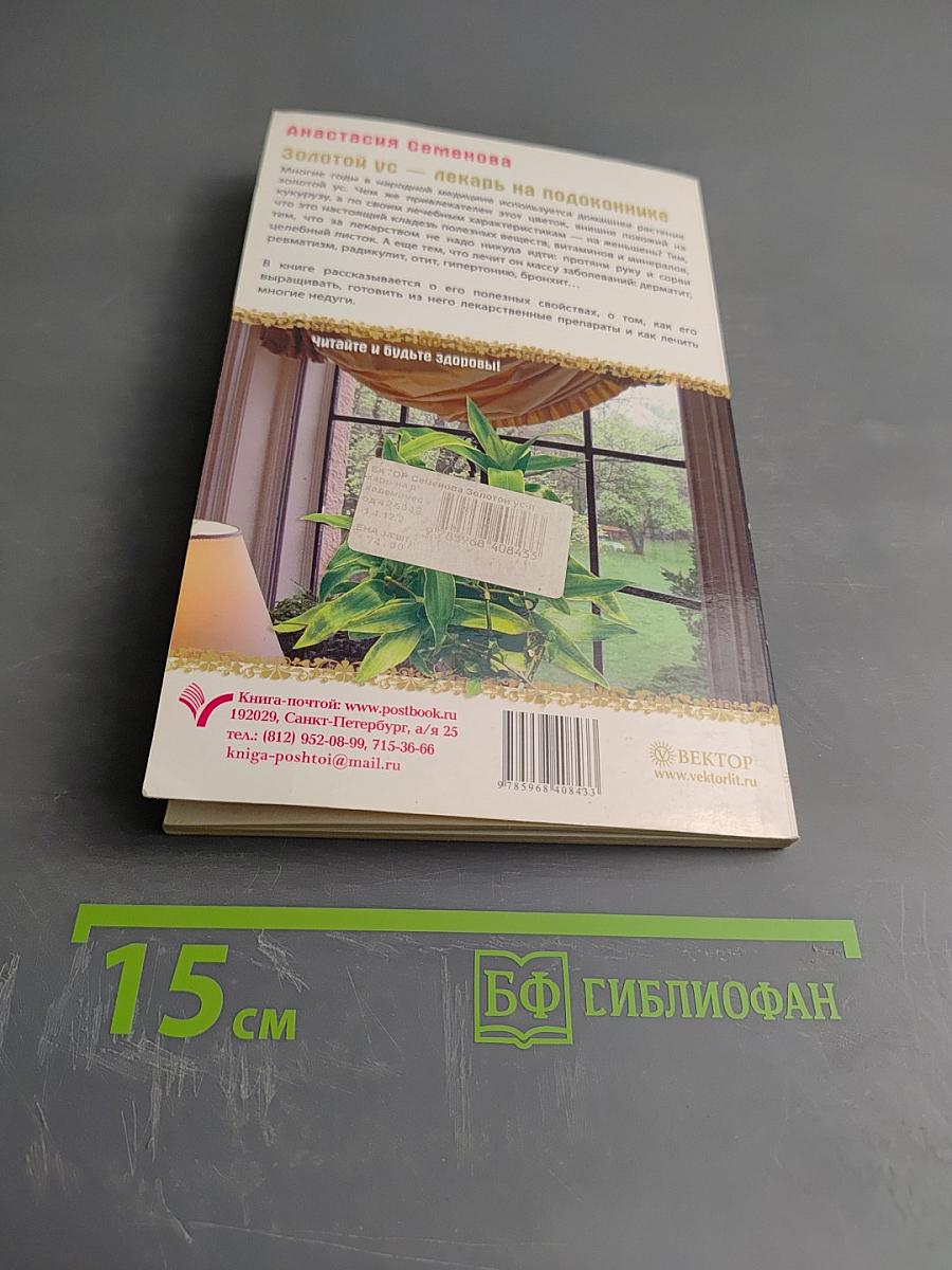 Золотой ус - лекарь на подоконнике