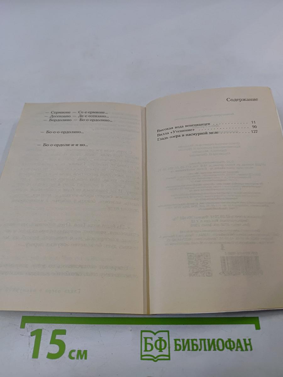 Высокая вода венецианцев