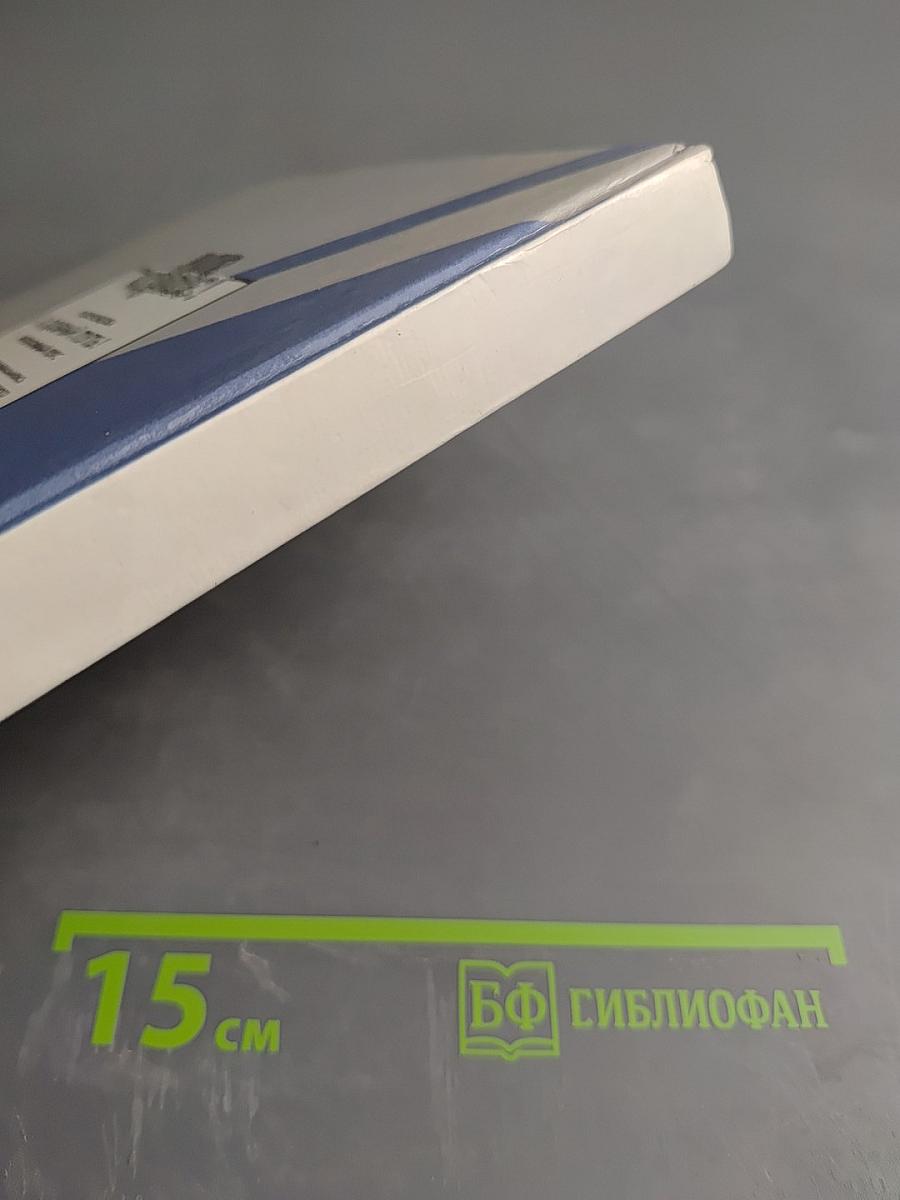 Bon Voyage! В добрый путь! Интенсивный курс. 2-й год обучения