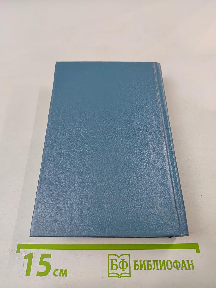 Петербург. Художественно-исторический очерк и обзор художественного богатства столицы