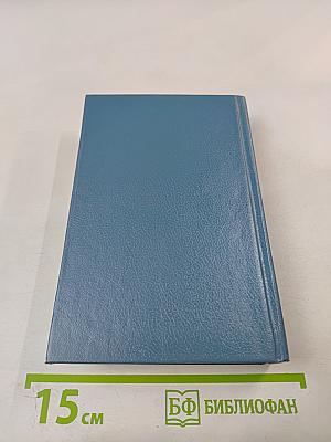 Петербург. Художественно-исторический очерк и обзор художественного богатства столицы