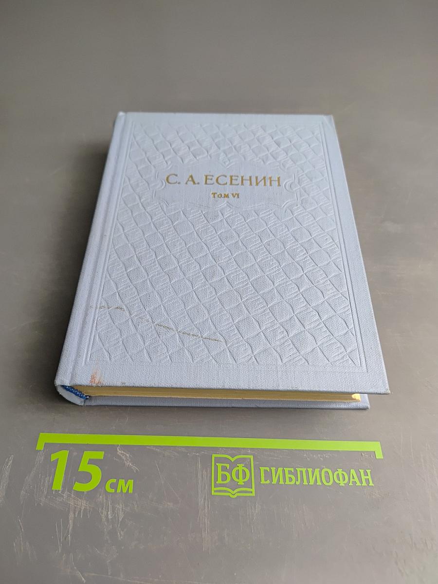 Собрание сочинений. Том 6. Письма