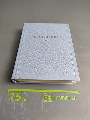 Собрание сочинений. Том 6. Письма