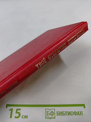 Твоё открытие Петербурга