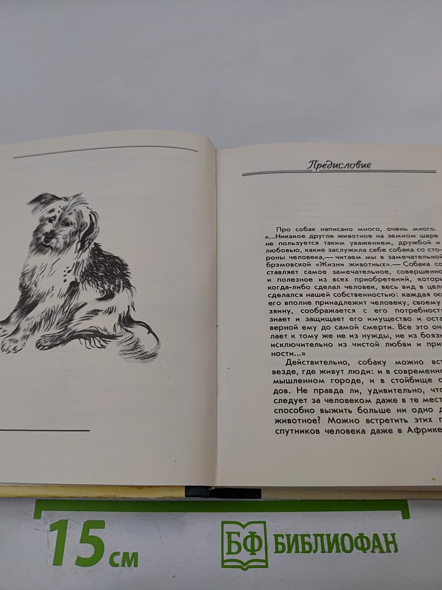 О чем лают собаки
