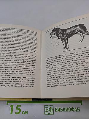 О чем лают собаки