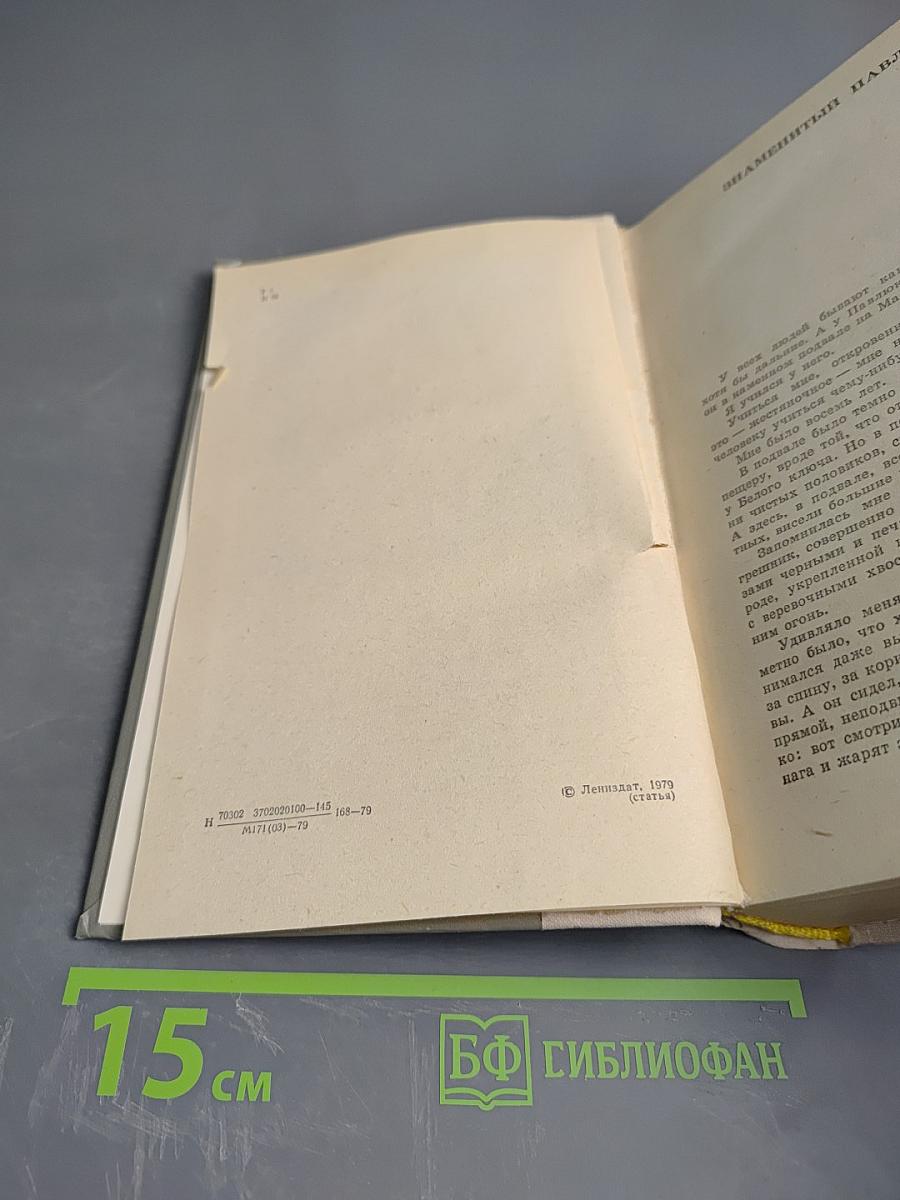 Испытательный срок: Повести и рассказы