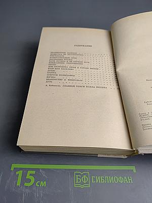 Испытательный срок: Повести и рассказы