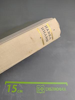 Испытательный срок: Повести и рассказы