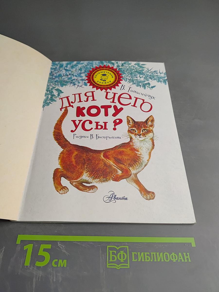 Для чего коту усы?