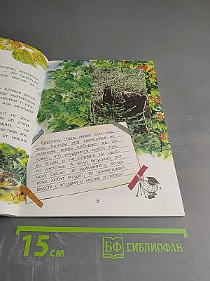 Для чего коту усы?