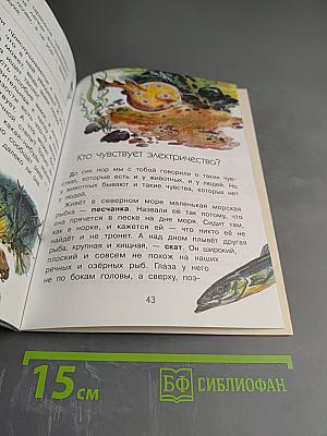 Для чего коту усы?