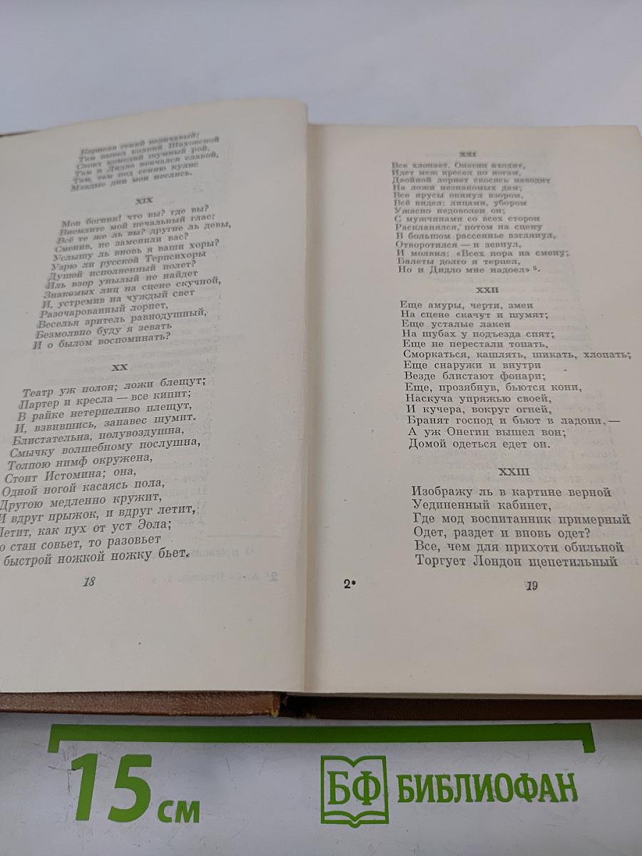 Собрание сочинений. Том четвертый. Евгений Онегин. Драматические произведения