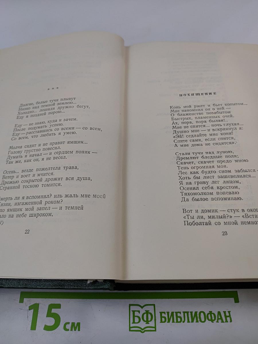 Собрание сочинений. Том десятый. Стихотворения, поэмы, литературные и житейские воспоминания, переводы