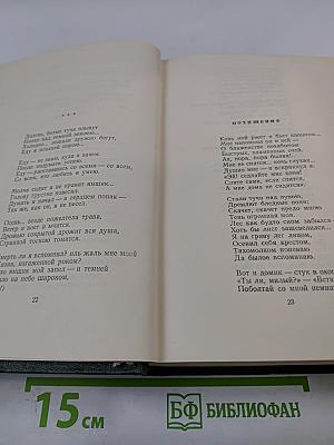Собрание сочинений. Том десятый. Стихотворения, поэмы, литературные и житейские воспоминания, переводы