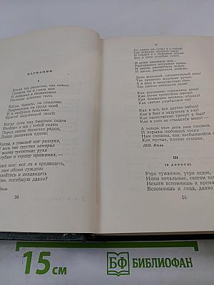 Собрание сочинений. Том десятый. Стихотворения, поэмы, литературные и житейские воспоминания, переводы