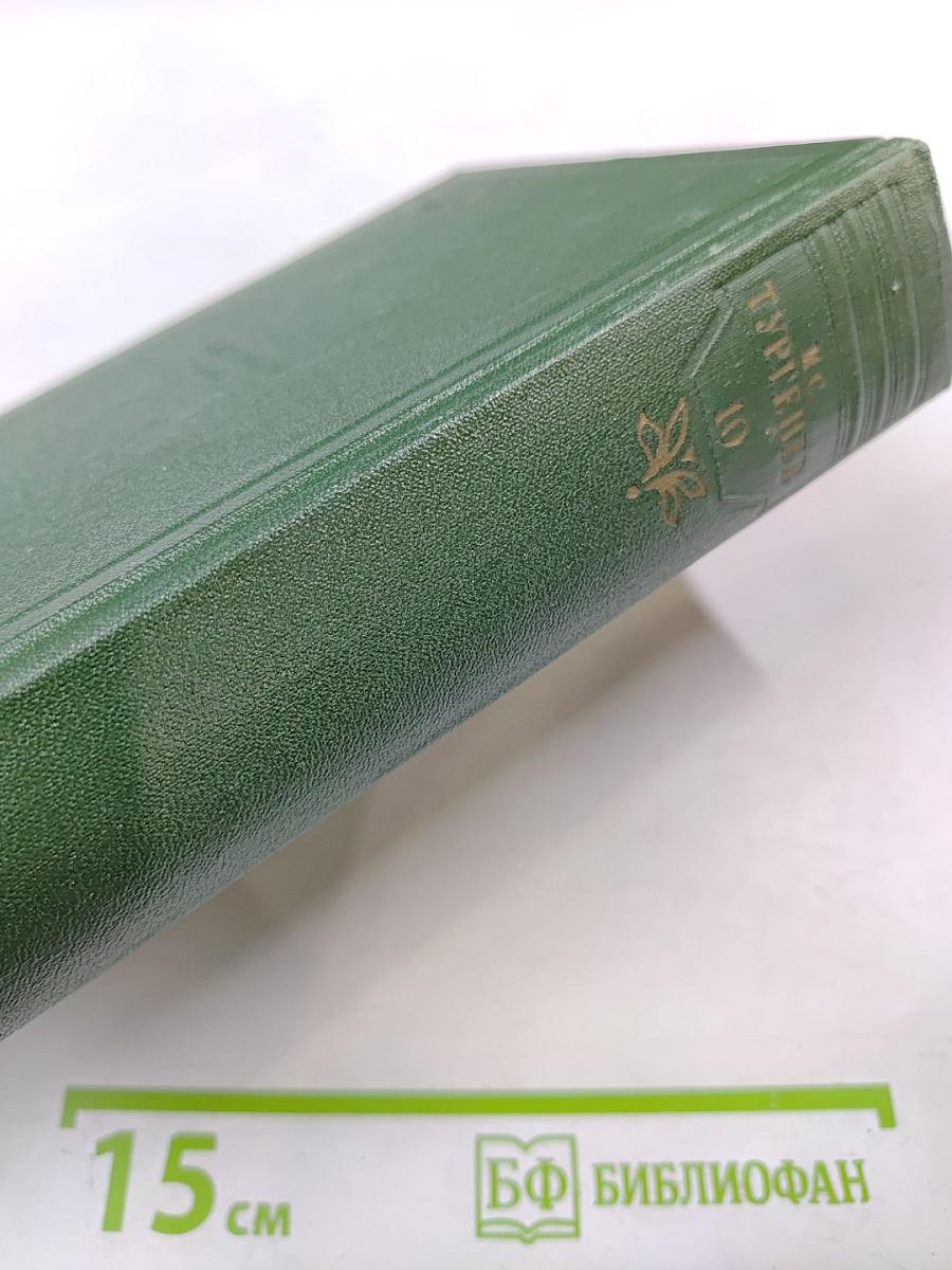 Собрание сочинений. Том десятый. Стихотворения, поэмы, литературные и житейские воспоминания, переводы