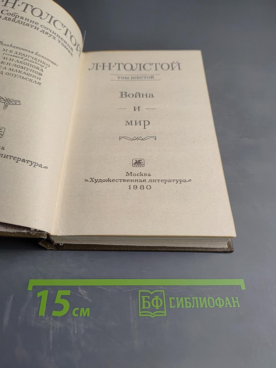 Война и мир (Том шестой)