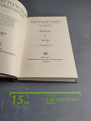 Война и мир (Том шестой)