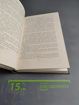 Война и мир (Том шестой)