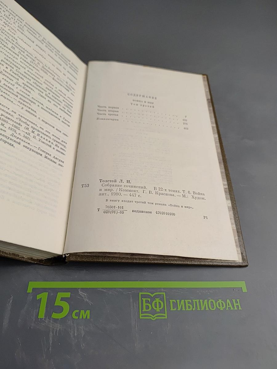 Война и мир (Том шестой)
