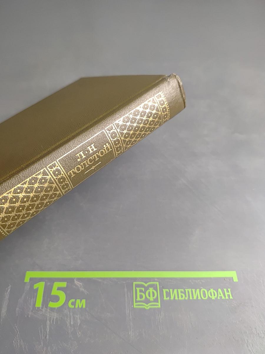 Война и мир (Том шестой)