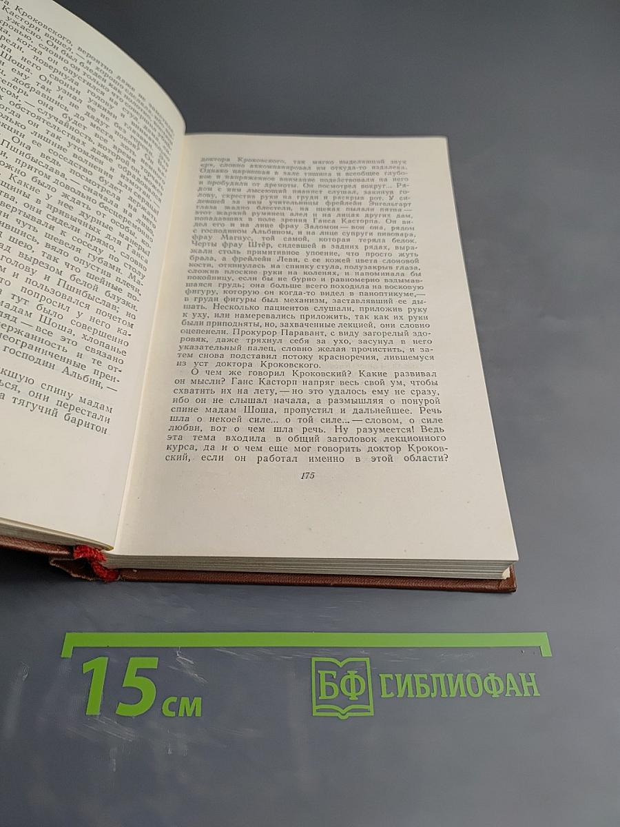 Собрание сочинений. Том 3: Волшебная гора