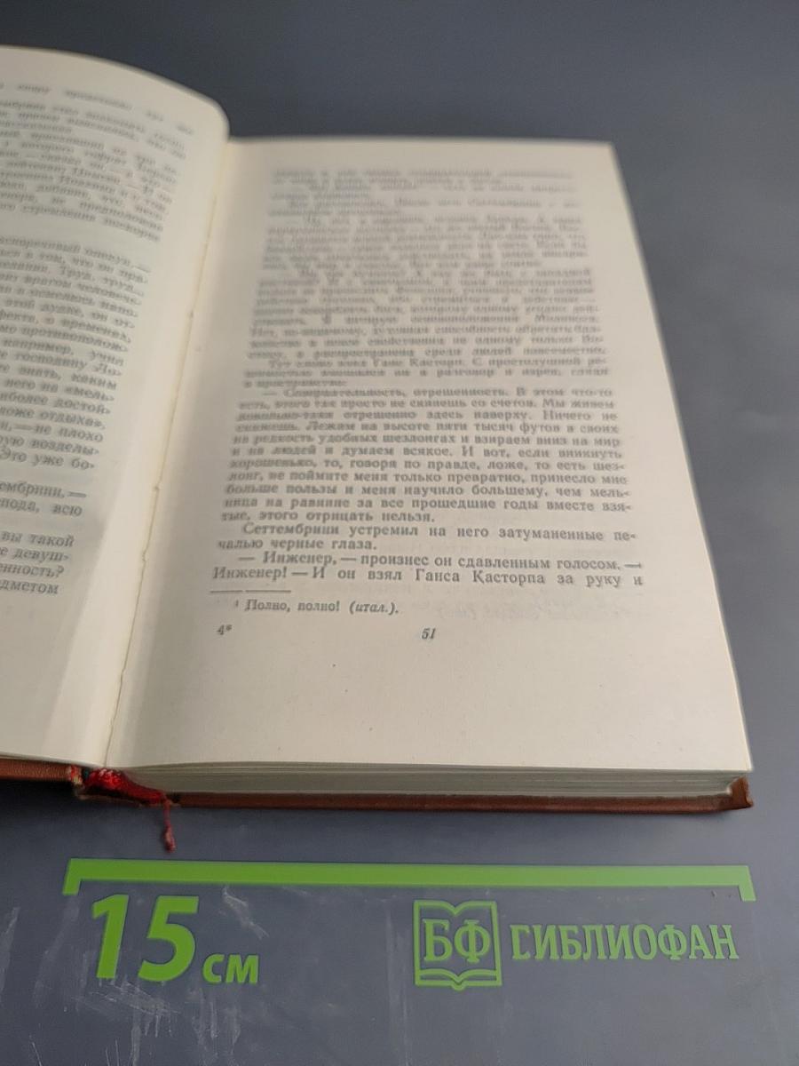 Собрание сочинений. Том четвертый: Волшебная гора