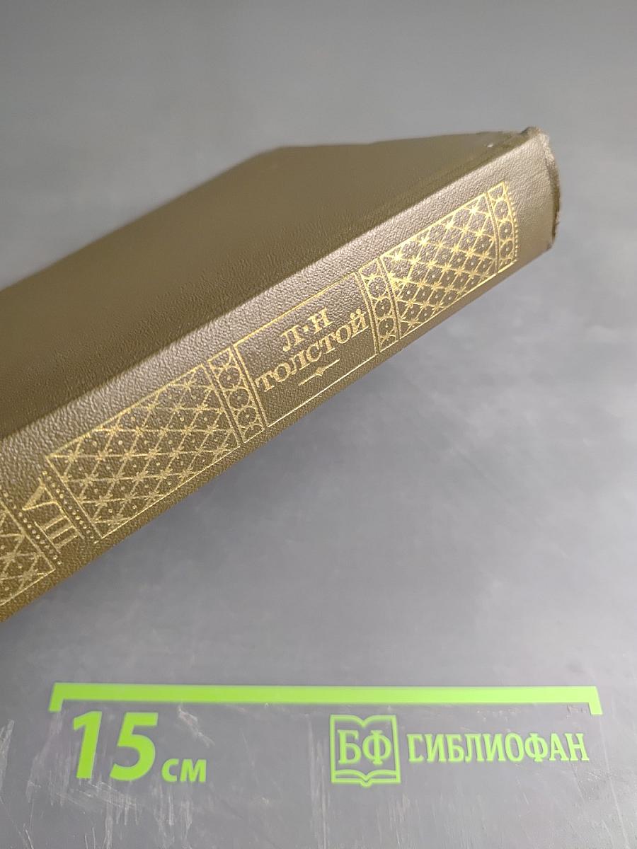 Анна Каренина. Роман в восьми частях. Том восьмой