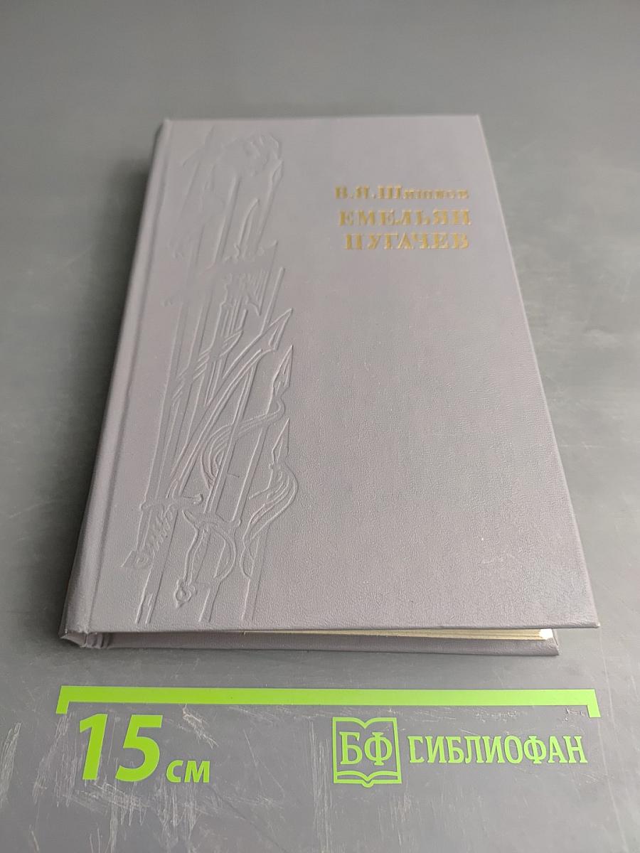 Емельян Пугачев. Историческое повествование. Книга третья