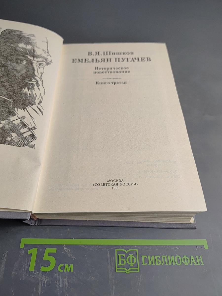 Емельян Пугачев. Историческое повествование. Книга третья