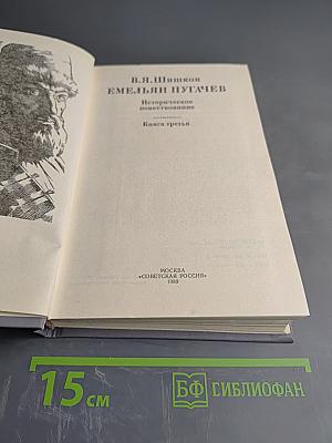 Емельян Пугачев. Историческое повествование. Книга третья
