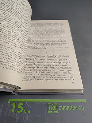 Емельян Пугачев. Историческое повествование. Книга третья