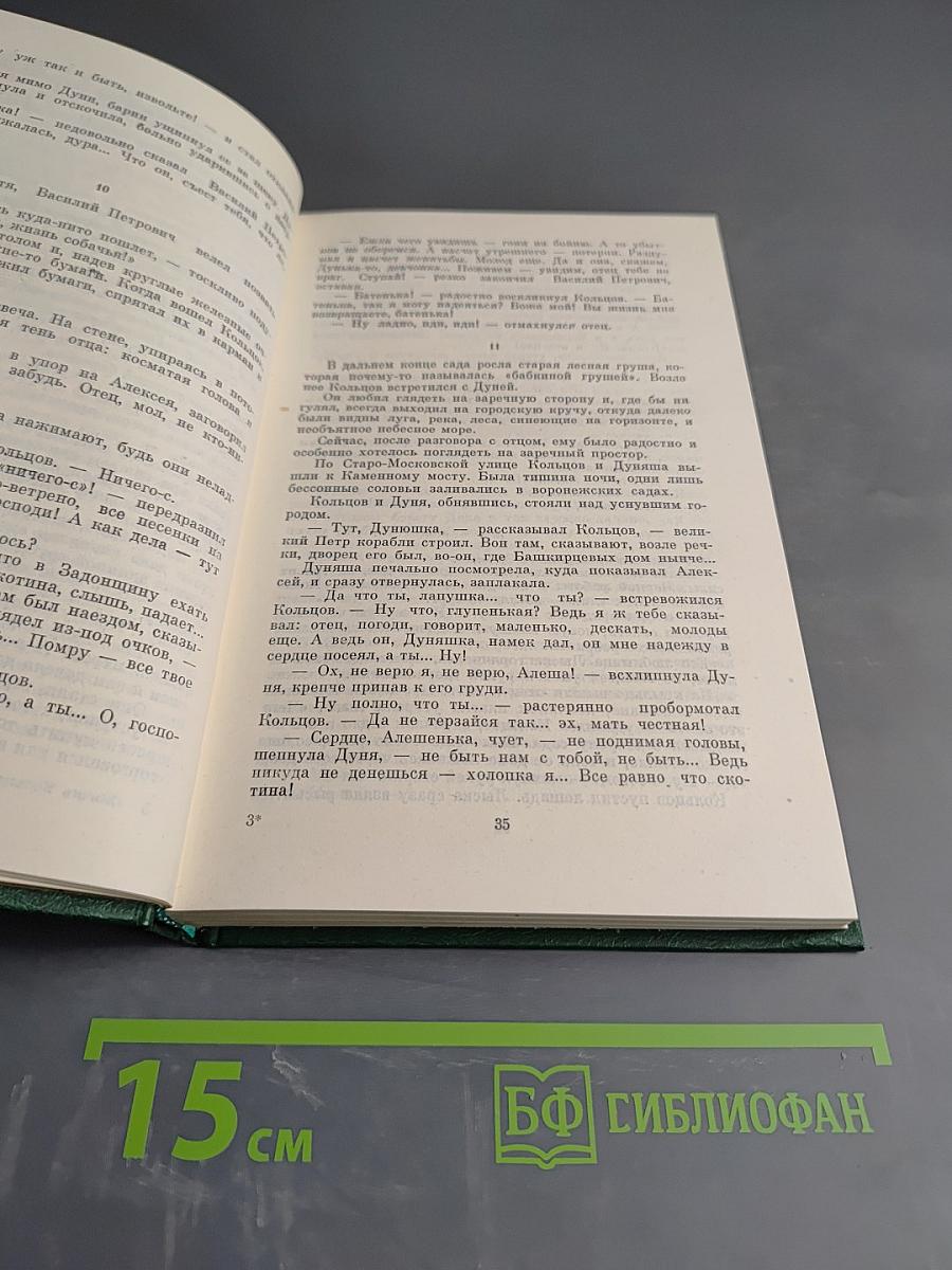 Жизнь Кольцова