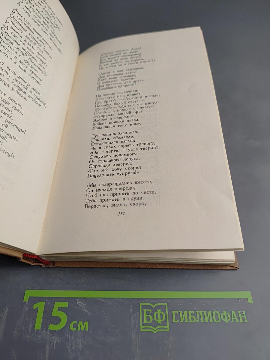 Адам Мицкевич. Избранные произведения. Том первый