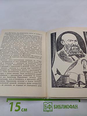 За Москвой-рекой. А.Н. Островский: Страницы жизни