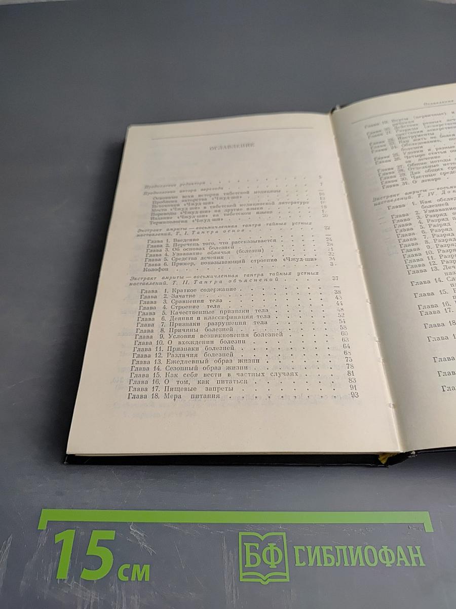 Чжуд-Ши: Памятник средневековой тибетской культуры