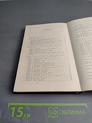 Чжуд-Ши: Памятник средневековой тибетской культуры